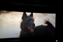 3a_kino2