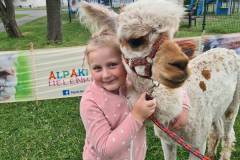 alpaki7
