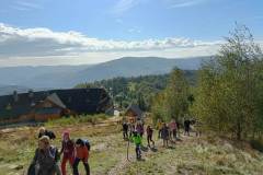 rownica8