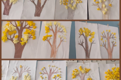 forsycje