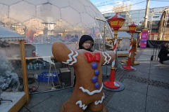 wolontariatwycieczka-Katowice10