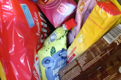 DD3_wolontariat4 DD3_wolontariat4