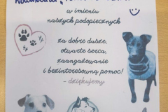 wolontariat-schronisko3