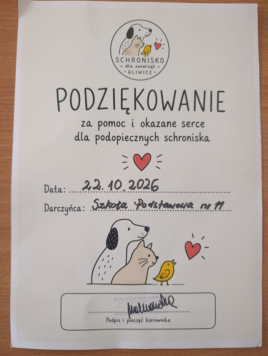 dyplom dla wolontariuszy